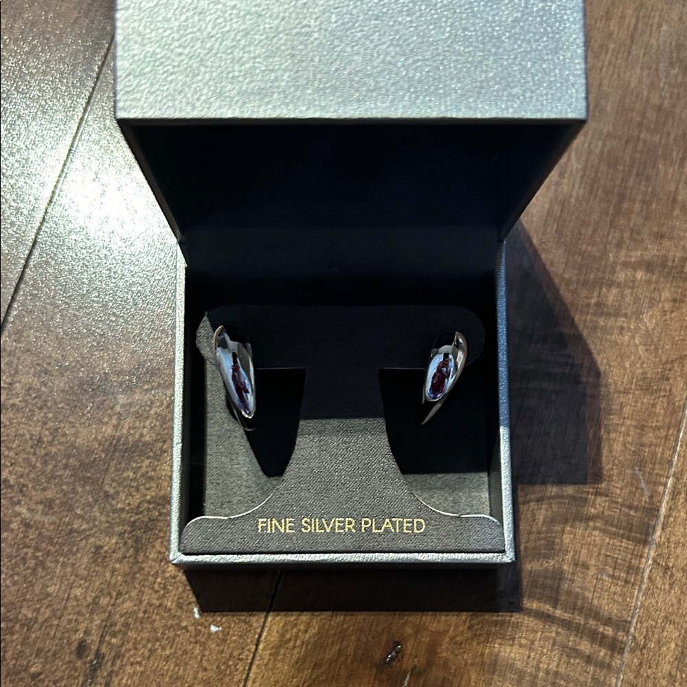 Chic Silver Plated Earrings